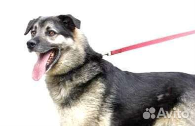 Забери меня домой