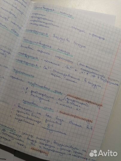 Написание конспектов