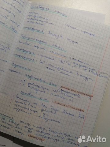 Написание конспектов