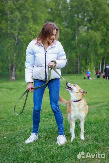 Собаке из приюта очень нужен рядом человек