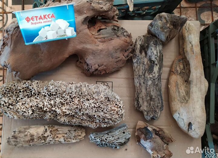 Дрифтвуд для поделок, шишки, коряги