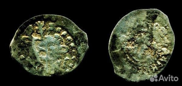 Чешуя удельная Темный нечастая