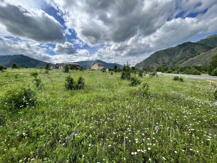 Участок 57 сот. (СНТ, ДНП)