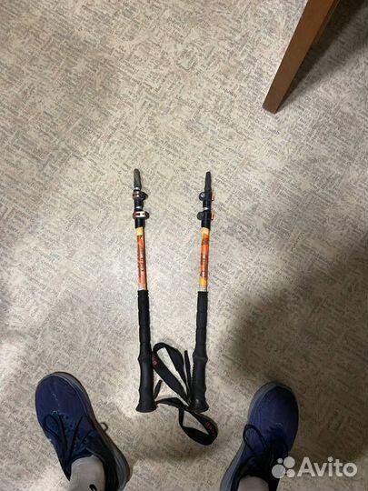 Палки для скандинавской ходьбы телескопические