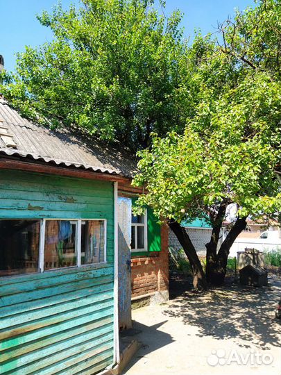 Деревья на дрова даром