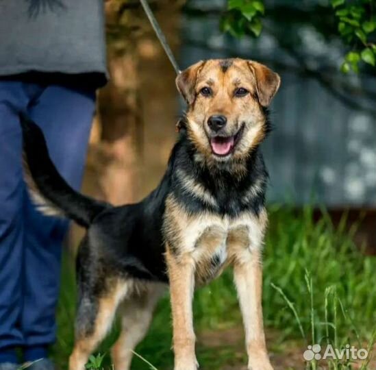 Лана душа компании