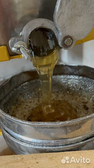 Акациевый мёд 2023 с собственной пасеки