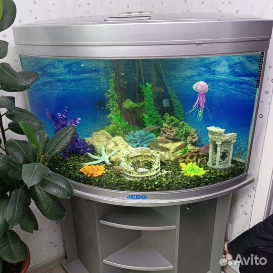 Установка, декорирование и обслуживание аквариумов