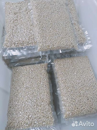 Переработка кедрового ореха