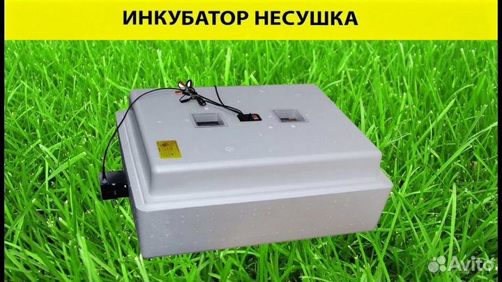 Инкубатор для яиц