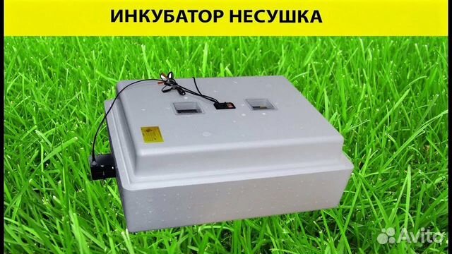 Инкубатор для яиц