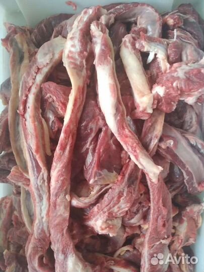 Мясо мякоть филе и межребер,говяжье,на фарш-гуляш