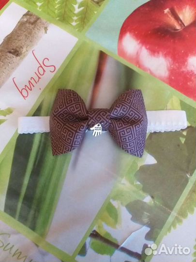 Бабочка - галстук 