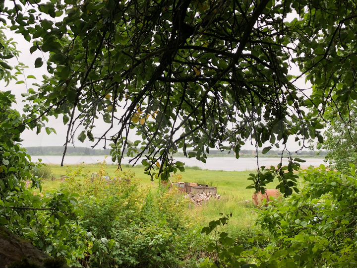 Участок 6 сот. (СНТ, ДНП)