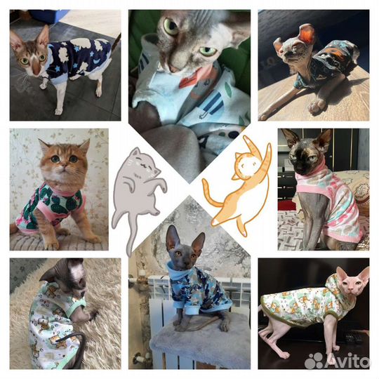 Одежда для кошек