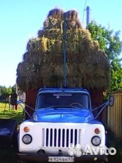 Сено в тюках