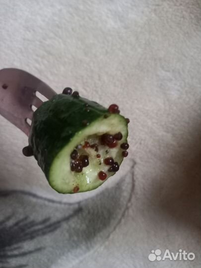 Аквариумные Улитки катушки