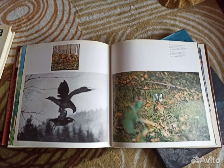 Книги про Алтай