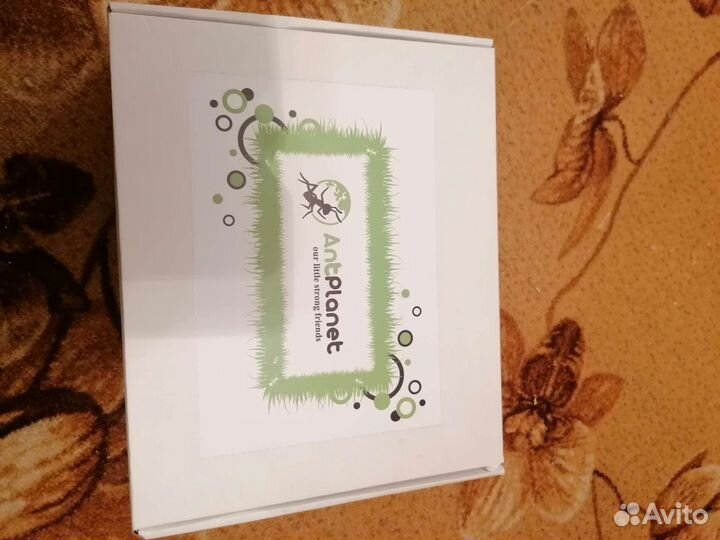 Формикарий муравьиная ферма