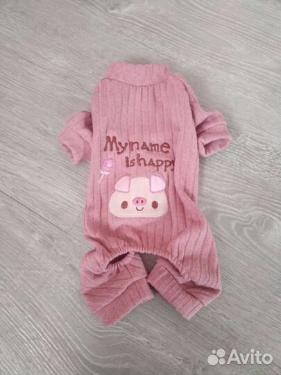 Одежда для собак мелких пород