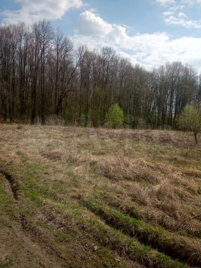 Участок 15 сот. (ИЖС)