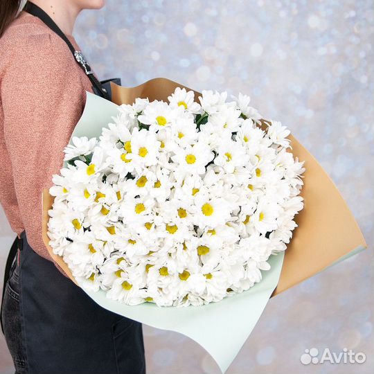 Цветы ромашки