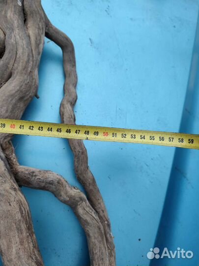 Торцевой спилы