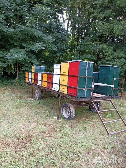 Пчелоприцеп легковой. Пасека. Пчелы