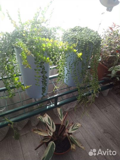 Металлическая напольная подставка для растений