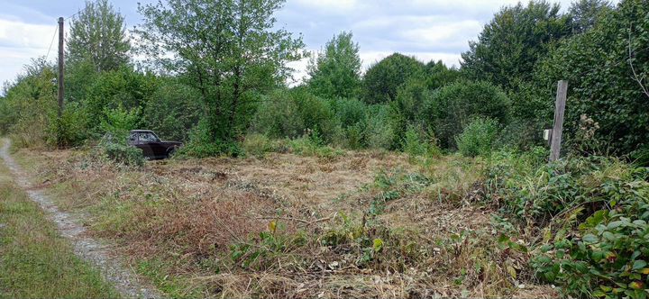 Участок 10 сот. (СНТ, ДНП)