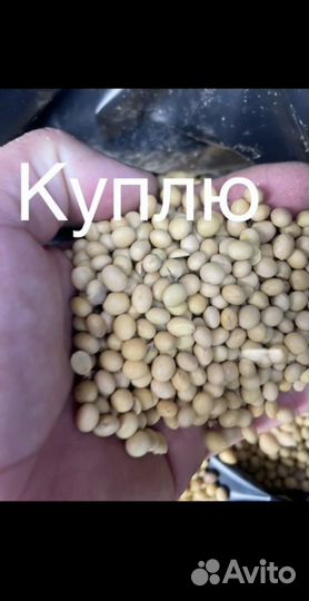 Продам экструдированный полножирный соевый жмых