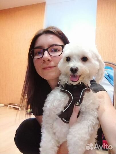 Передержка животных