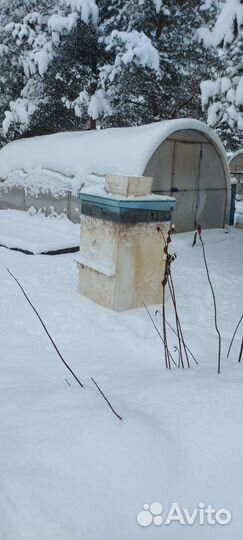 Септик б/у Vortex 5 Combi PR