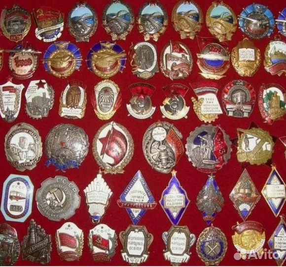 Коллекция - что с ней делать Консультации и помощь