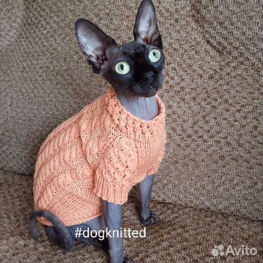 Одежда для кошек и собак