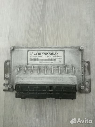 Эбу мозги на газель