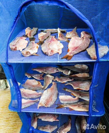 Сушилка для рыбы, грибов, овощей,фруктов и ягод