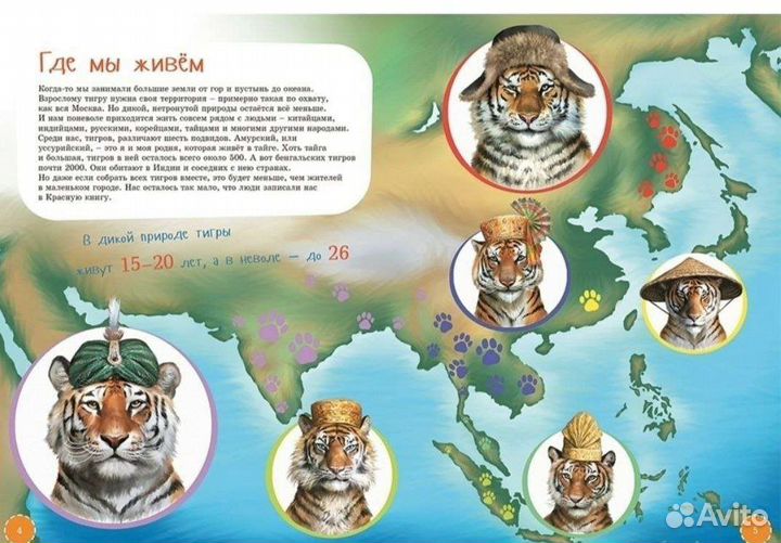 Альпина Занимательная биология