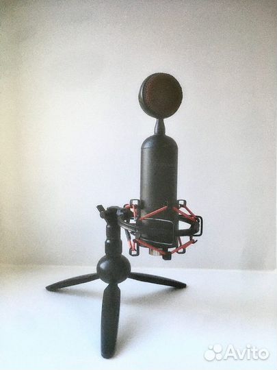 Микрофон Ritmix RDM-230