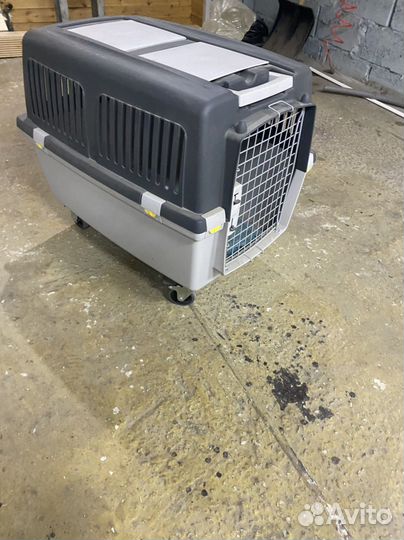 Перевозка для собак
