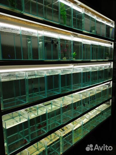 Компактные насосы - aquael unipump 1000 - 1500 л\ч