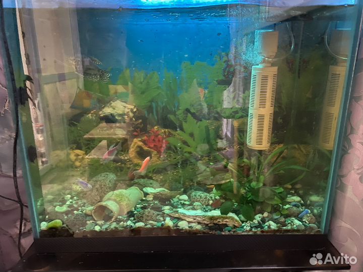 Аквариум 100 литров с рыбками