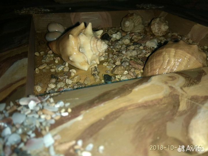 Украшение для интерьера