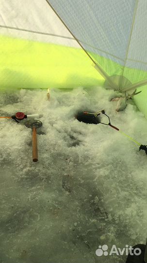 Кивок арбалет