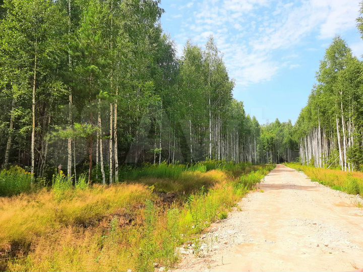 Участок 14 сот. (ИЖС)