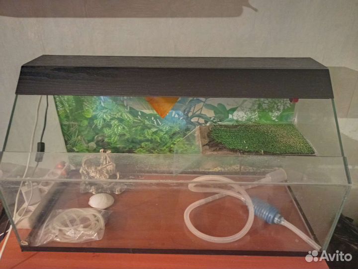 Аквариум