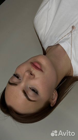 Мастер-бровист