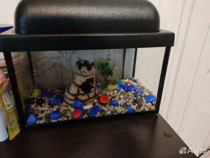 Аквариум 5л