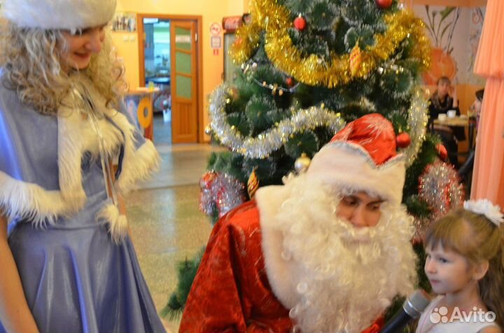 Дед мороз на дом