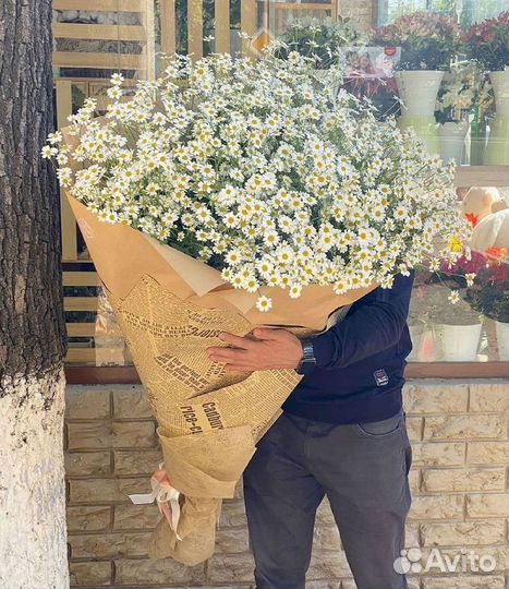 Цветы ромашки. Букеты ромашек. Цветы доставка